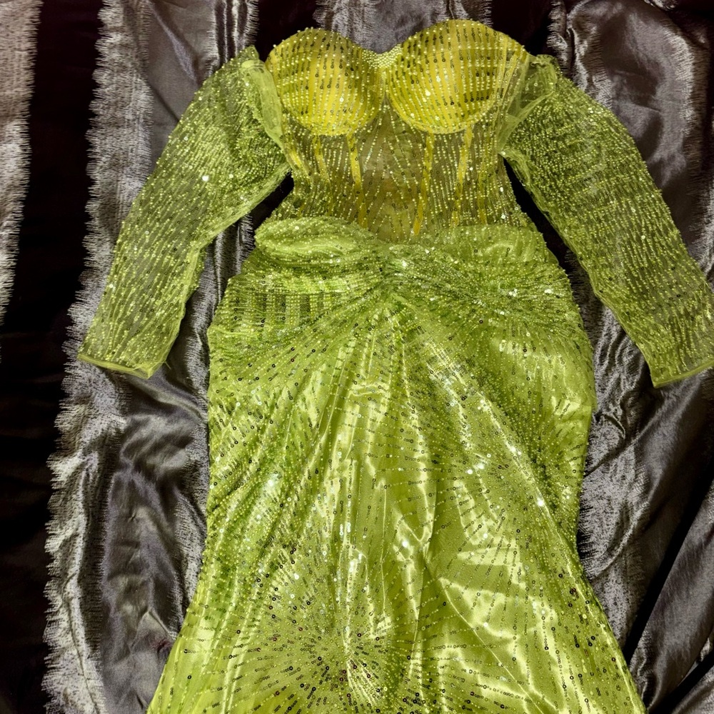 Stunning Green Sequin Gown